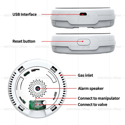 Tuya Wifi Natural Gas Leakage Detector Sensor Smart Alarm Gas Fire Security Digital LED Temperature Display for Home Kitchen